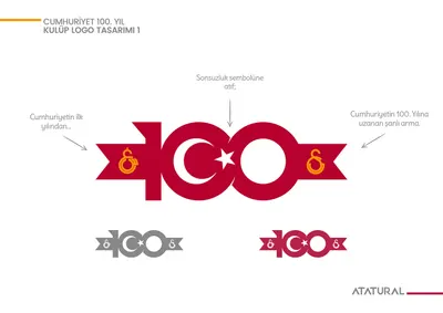 100.YIL ARMA